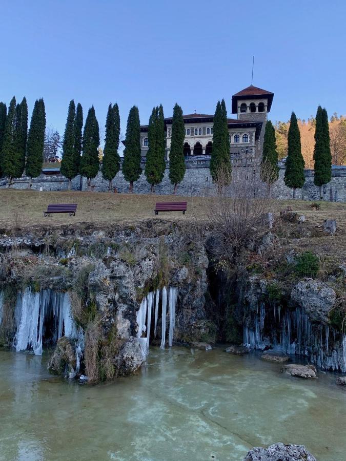 Castelul Cantacuzino Busteni Bagian luar foto